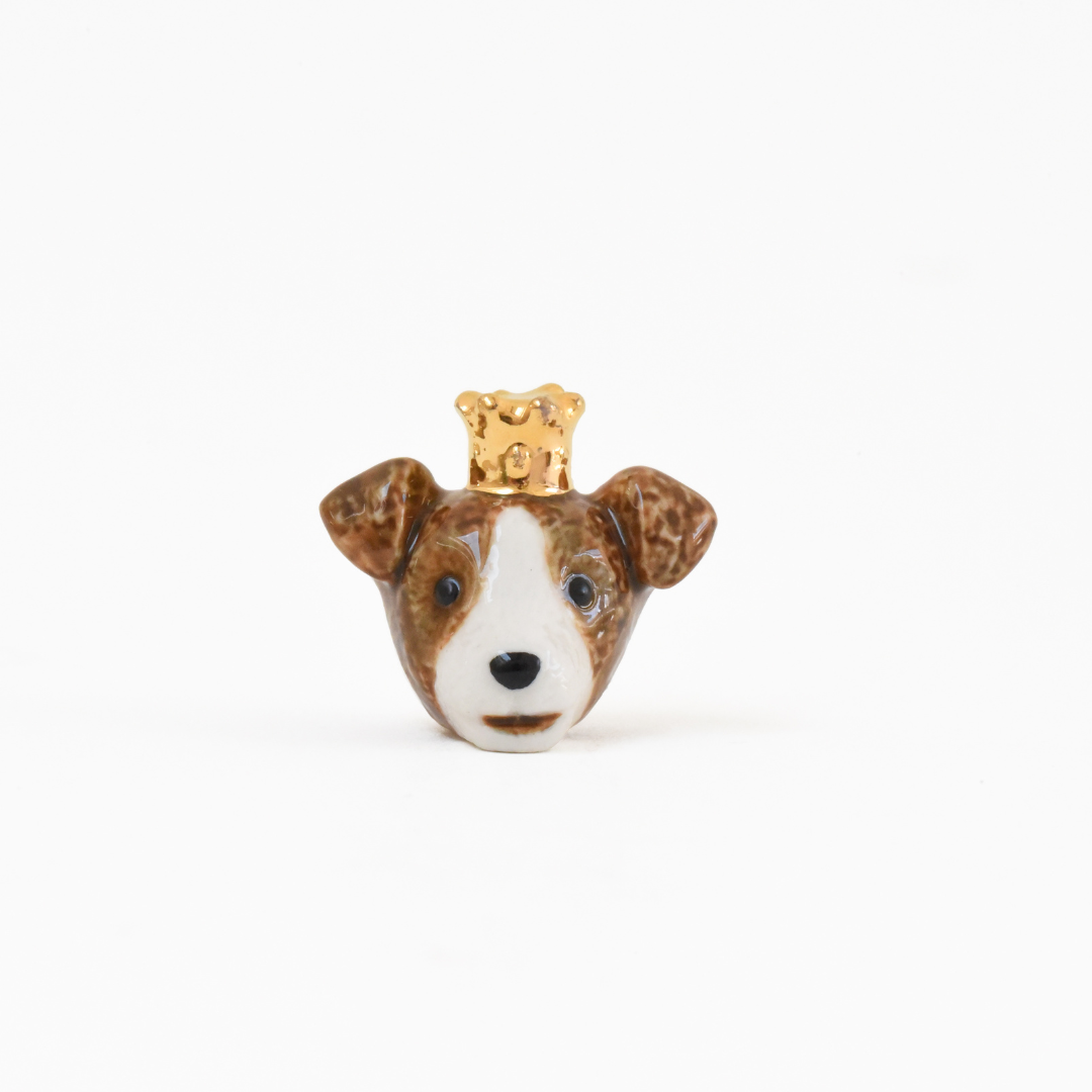Fève Jack Russel