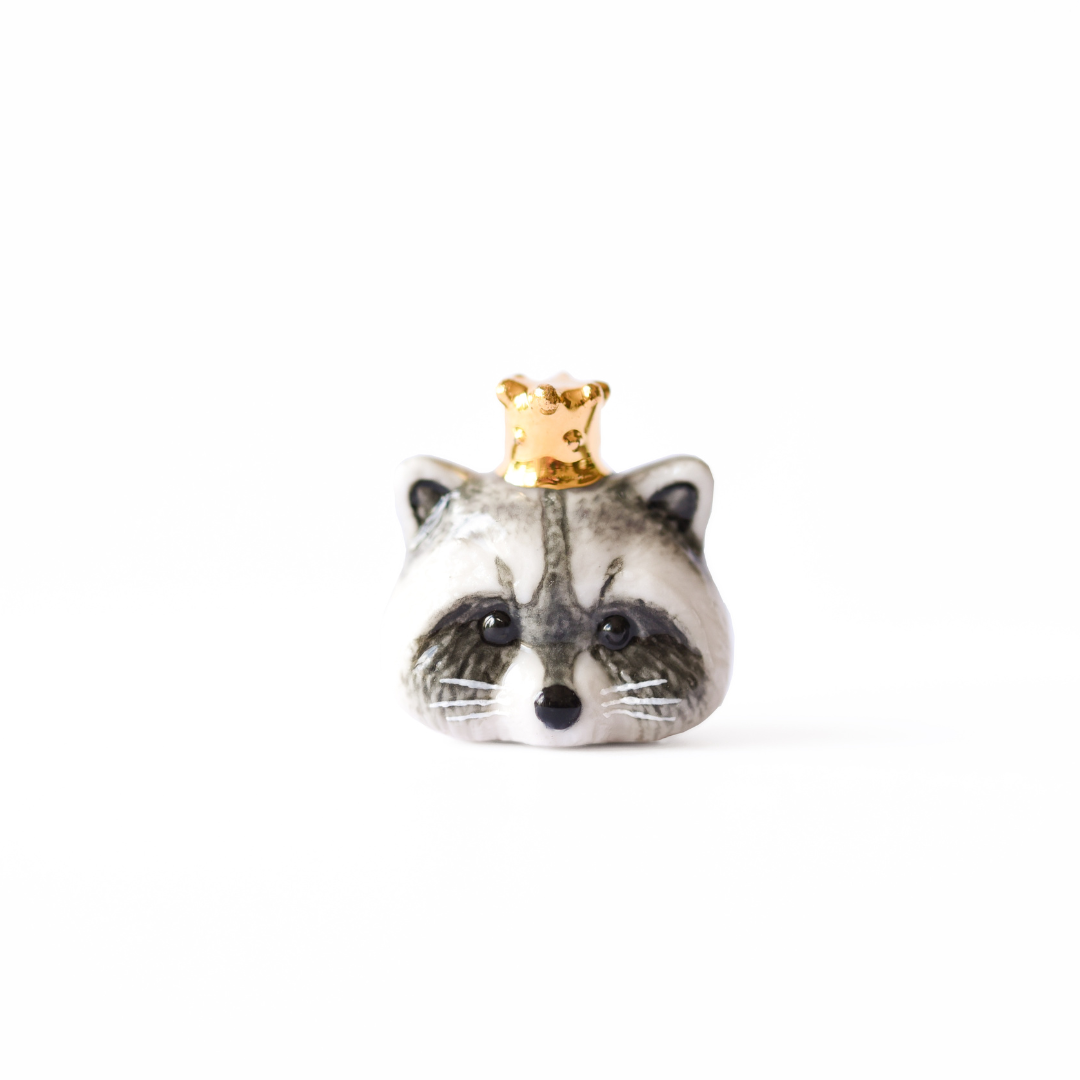 Photo de la Fève Raton Laveur de Baubels